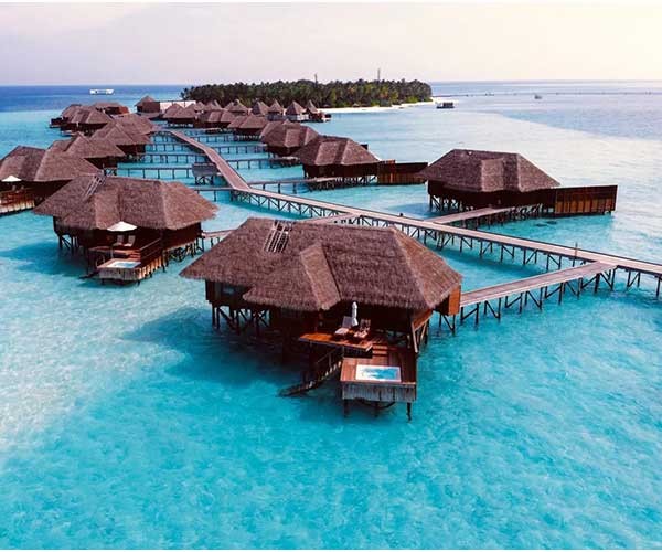 Category Image